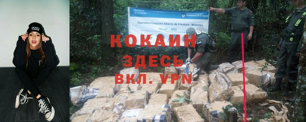 mdpv Богданович
