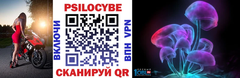 Псилоцибиновые грибы Psilocybine cubensis  Кольчугино 